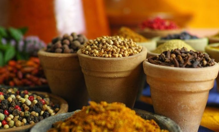खान-पान का रखें विशेष ख्याल, सही पोषण ही करेगा बचाव