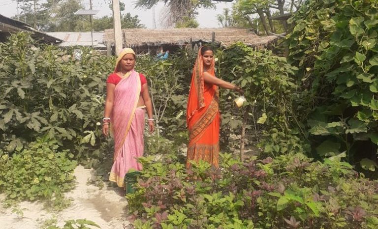 पोषण पंचायत की मदद से कुपोषण दूर करने की कवायद, लगाये जायेंगे पोषणयुक्त पौधे
